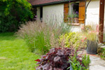 Philip edwards gardening and landscaping services